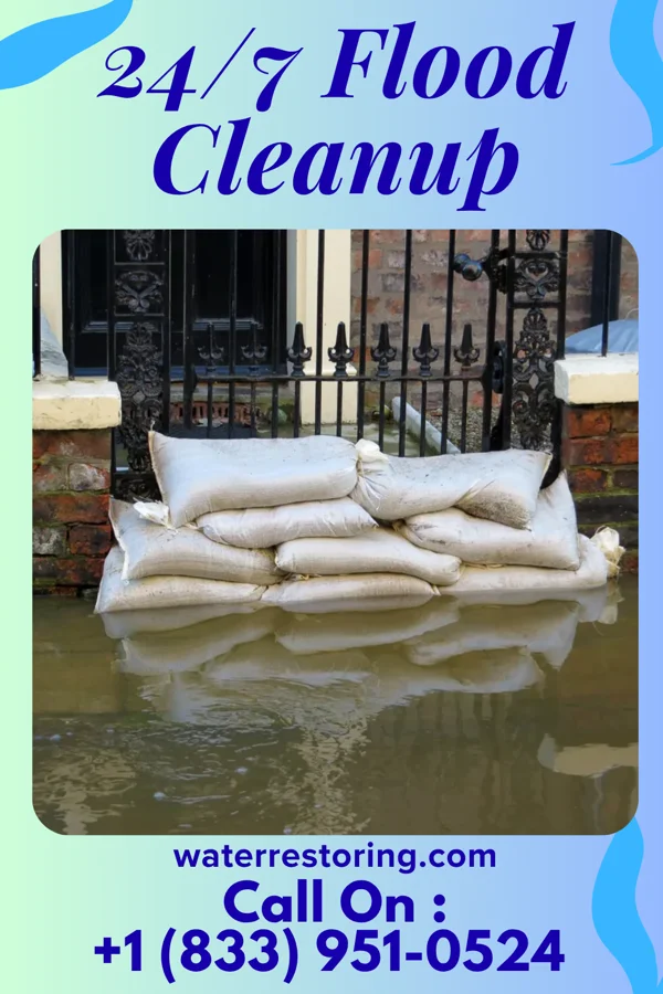 24/7 Flood Cleanup in St. Nazianz, WI