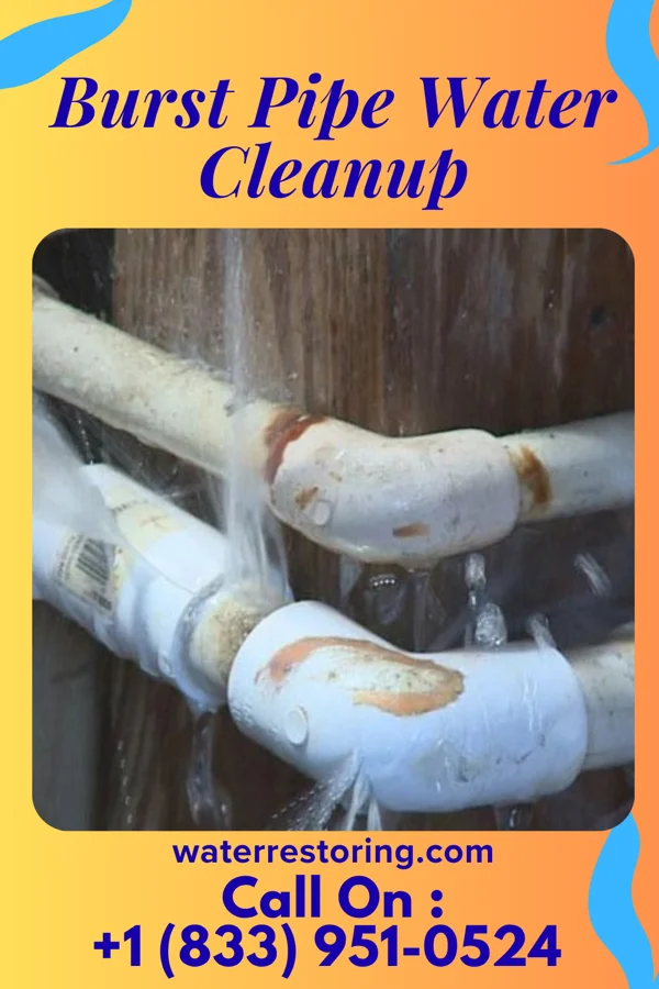 Burst Pipe Water Cleanup in St. Nazianz, WI