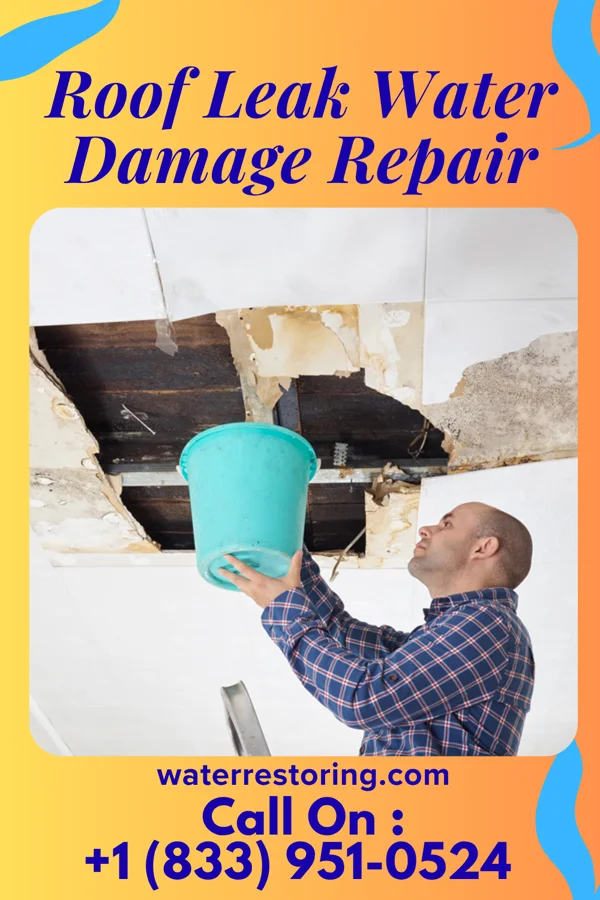 Roof Leak Water Damage Repair in St. Nazianz, WI