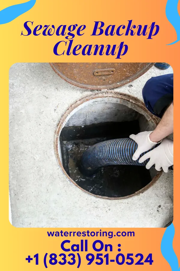 Sewage Backup Cleanup in St. Nazianz, WI