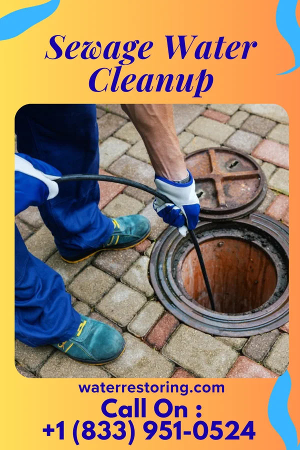 Sewage Water Cleanup in St. Nazianz, WI