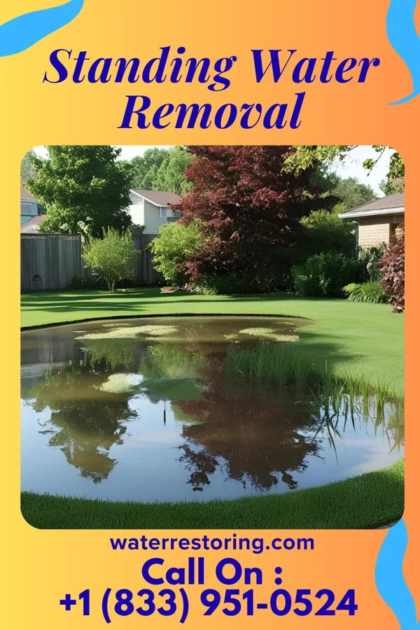 Standing Water Removal in St. Nazianz, WI